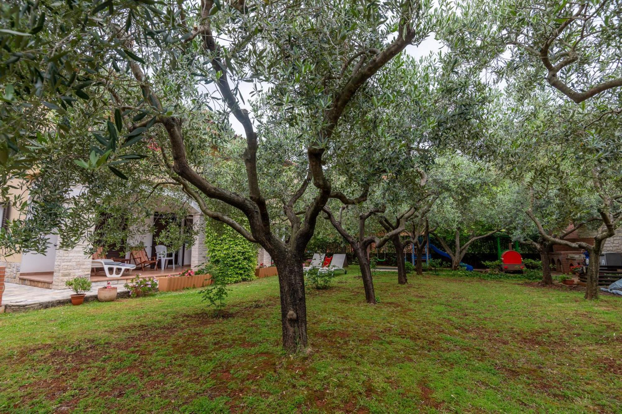 Apartments Mirella Novigrad Istria Eksteriør bilde